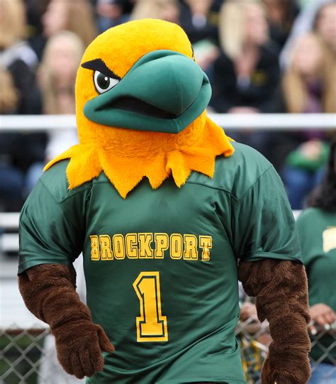 SUNY Mascots: The Unsung Heroes of College Athletics